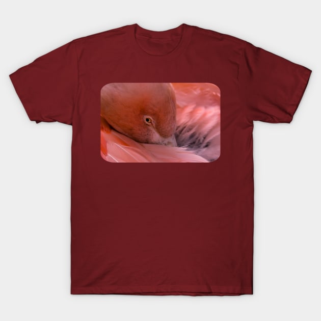 Flamingo T-Shirt by ElviraDraat